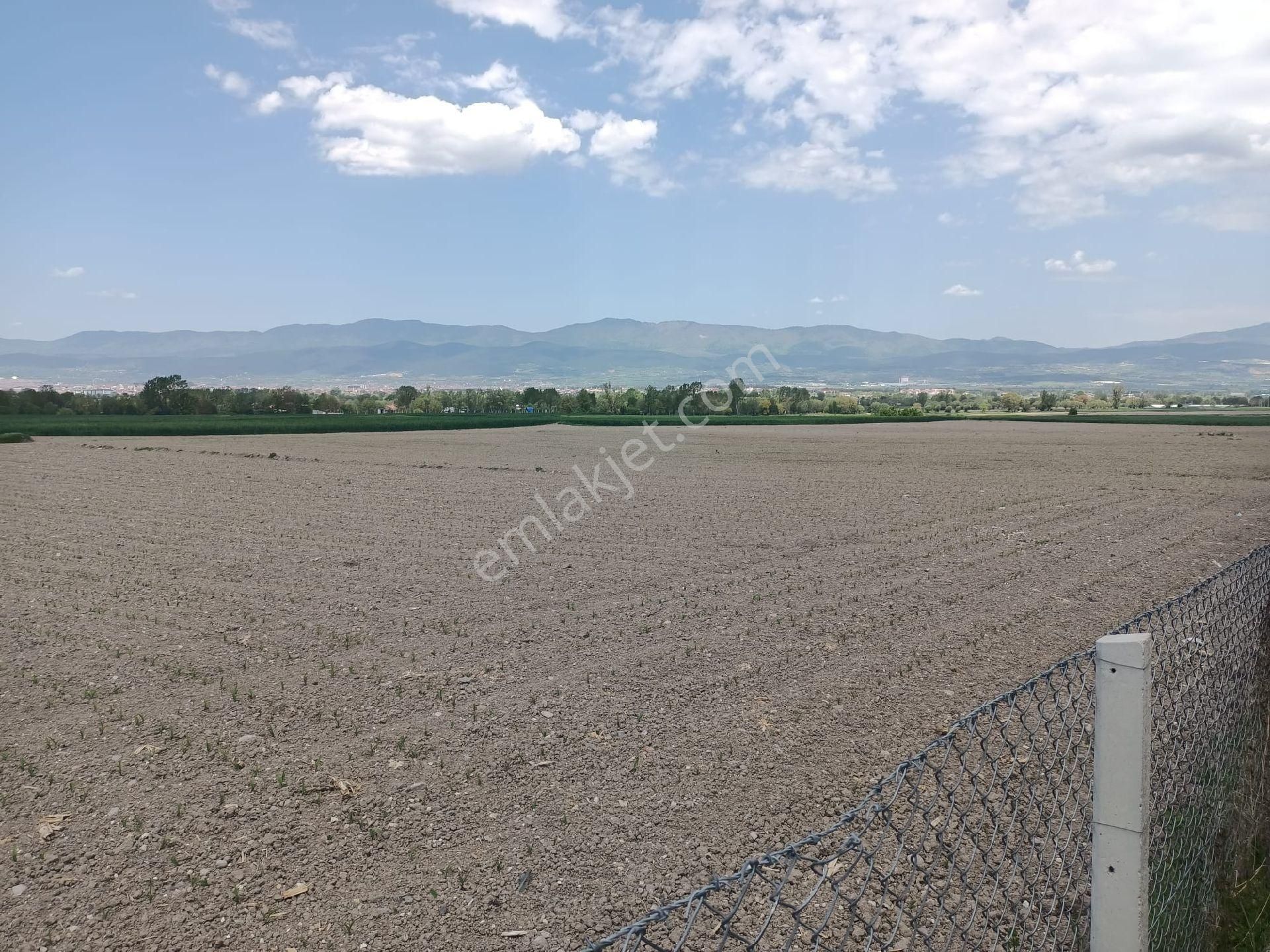 Bolu Merkez Gölköy Köyü (Hamidiye) Satılık Tarla BOLU MERKEZE YAKIN GÖLKÖY HAMİDİYE KÖY MAHALLESİNDE SATILIK KÖY İÇİ SATILIK TARLA