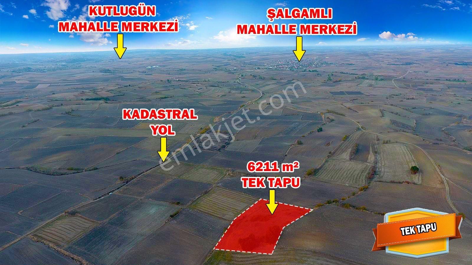 Hayrabolu Şalgamlı Satılık Tarla TEKİRDAĞ HAYRABOLU ŞALGAMLI 6.211 M2 TEK TAPU YATIRIMLIK TARLA