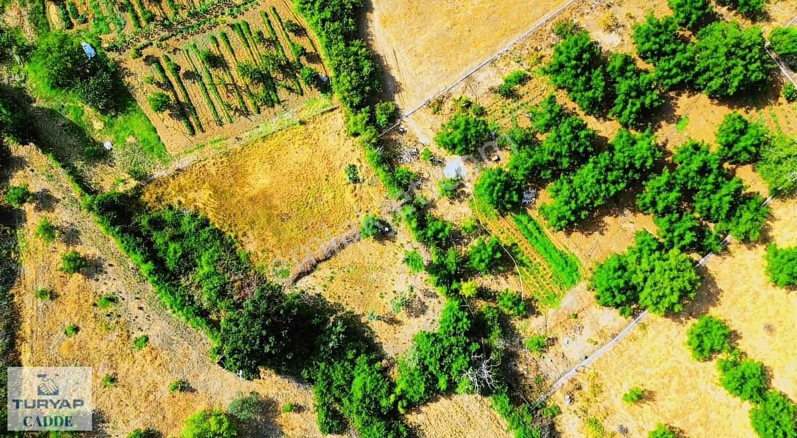 Çanakkale Merkez Salihler Köyü Satılık Tarla ÇANAKKALE MERKEZ SALİHLER KÖYÜNDE SATILIK TARLA