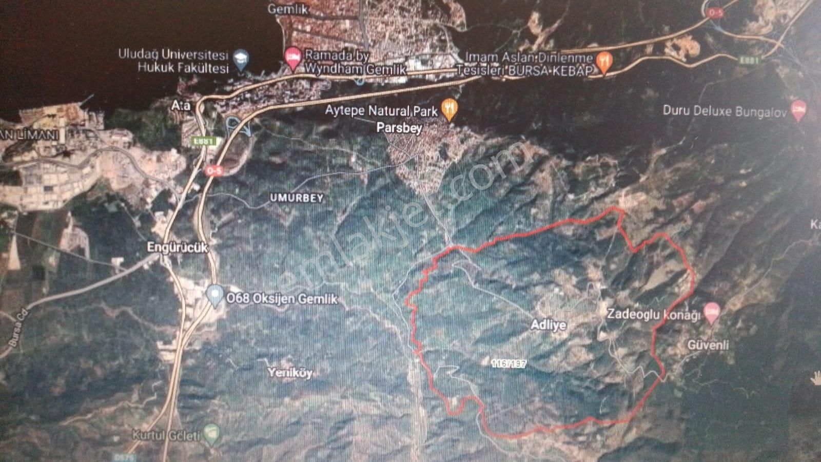 Gemlik Adliye Köyünde Satılık Zeytinlik 4755m2. Yol Su Var - Görsel 14