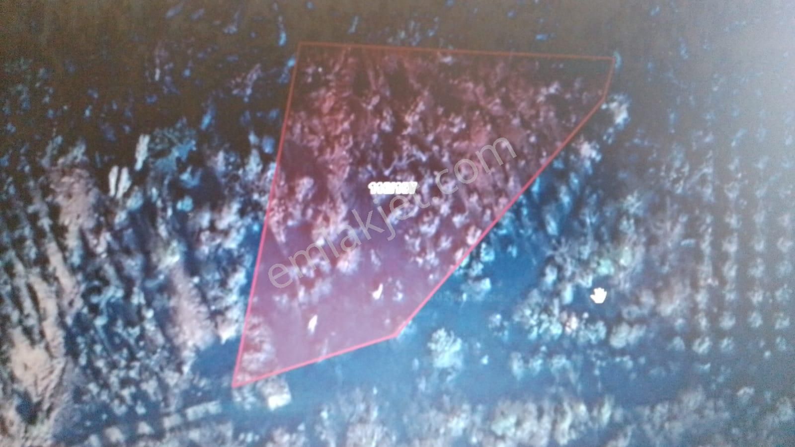 Gemlik Adliye Köyünde Satılık Zeytinlik 4755m2. Yol Su Var - Görsel 12