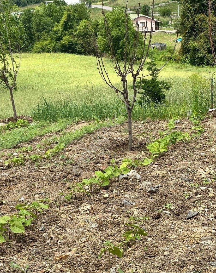 Acil Satılık Arsa - Görsel 3