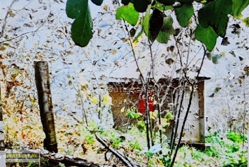 Ordu Ulubey Müstakil Ev Tapu Sahibi Perta Emlak Ümit Tahmaz - Görsel 24