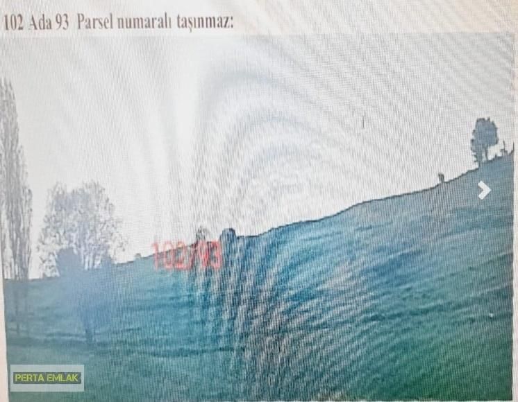 Tokat Zile Arsa Tapu Sahibi Perta Emlak Ümit Tahmaz - Görsel 10