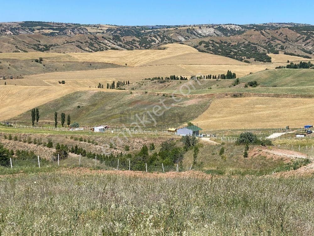 Çorum Merkez Sarmaşa Köyü Satılık Bağ & Bahçe  Güvenay - Çorum Serpin Köyü Civarı Satılık 500 M² Satılık Bahçe