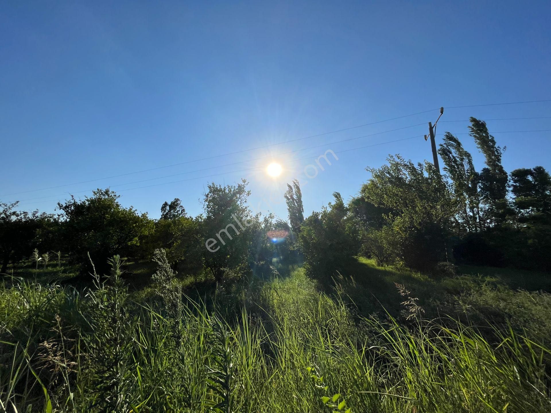 Satılık 4 Villa İmarlı 2300 M2 Arsa Muğla Ortaca - Görsel 10