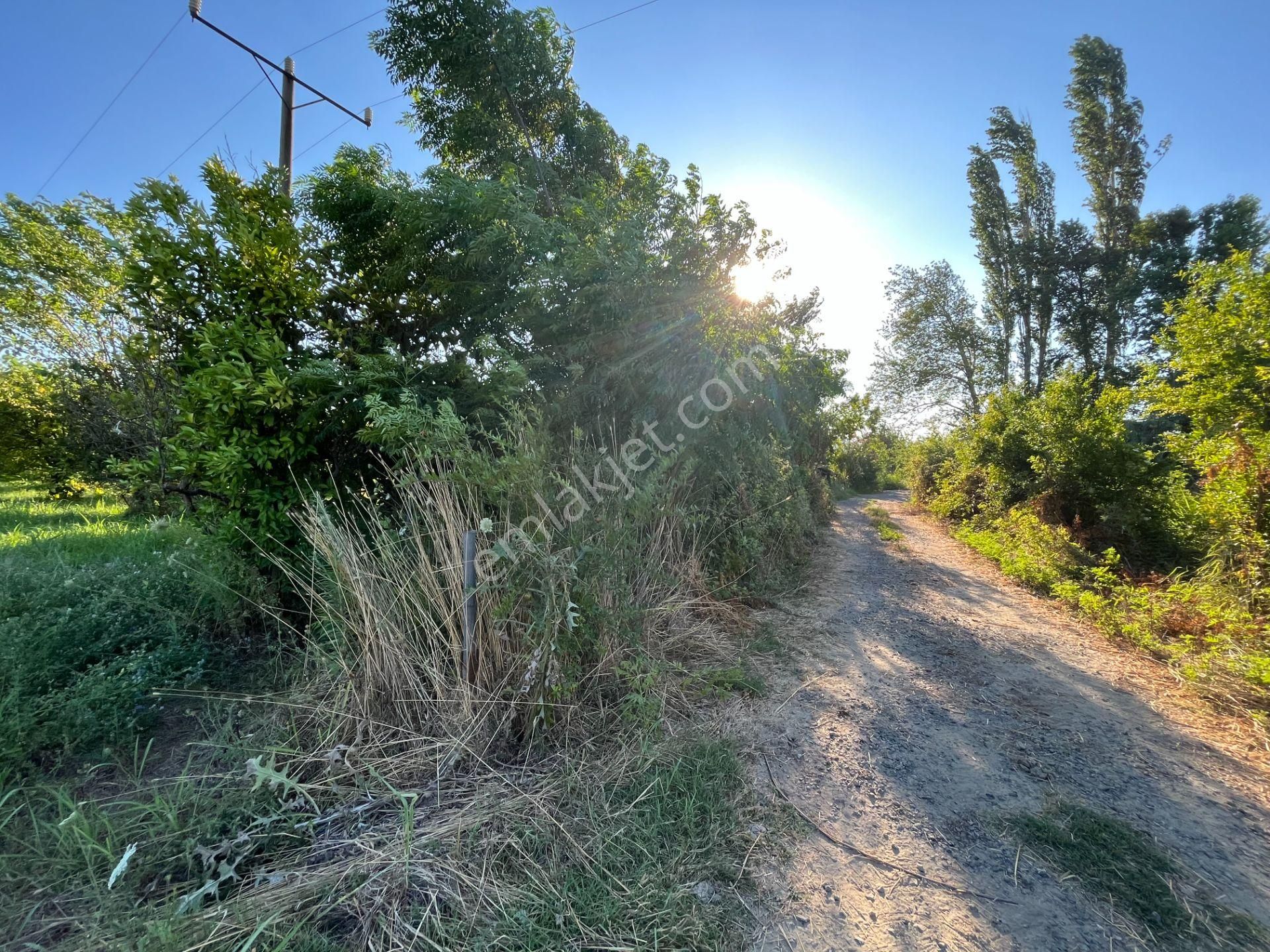 Satılık 4 Villa İmarlı 2300 M2 Arsa Muğla Ortaca - Görsel 14