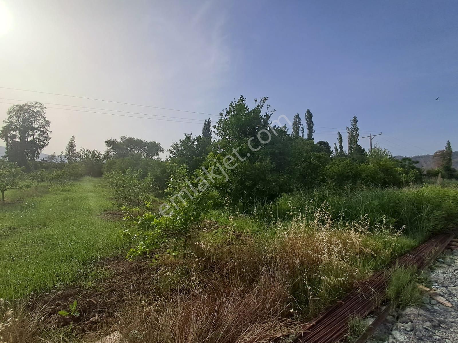 Satılık 4 Villa İmarlı 2300 M2 Arsa Muğla Ortaca - Görsel 31