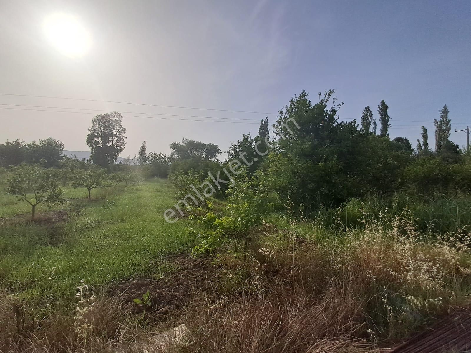 Satılık 4 Villa İmarlı 2300 M2 Arsa Muğla Ortaca - Görsel 32