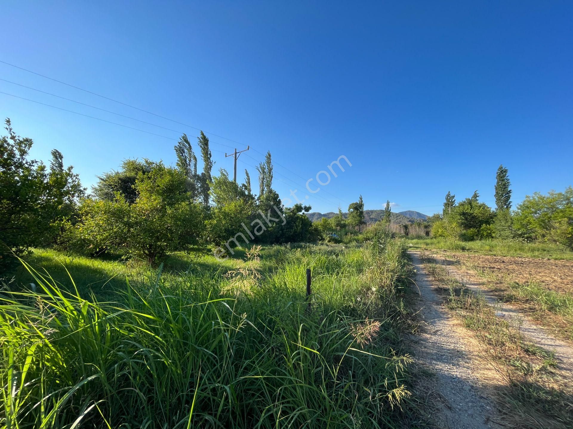 Satılık 4 Villa İmarlı 2300 M2 Arsa Muğla Ortaca - Görsel 11