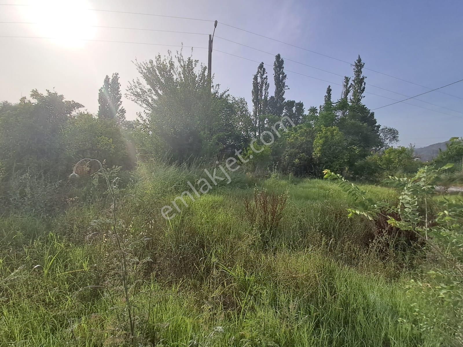 Satılık 4 Villa İmarlı 2300 M2 Arsa Muğla Ortaca - Görsel 27