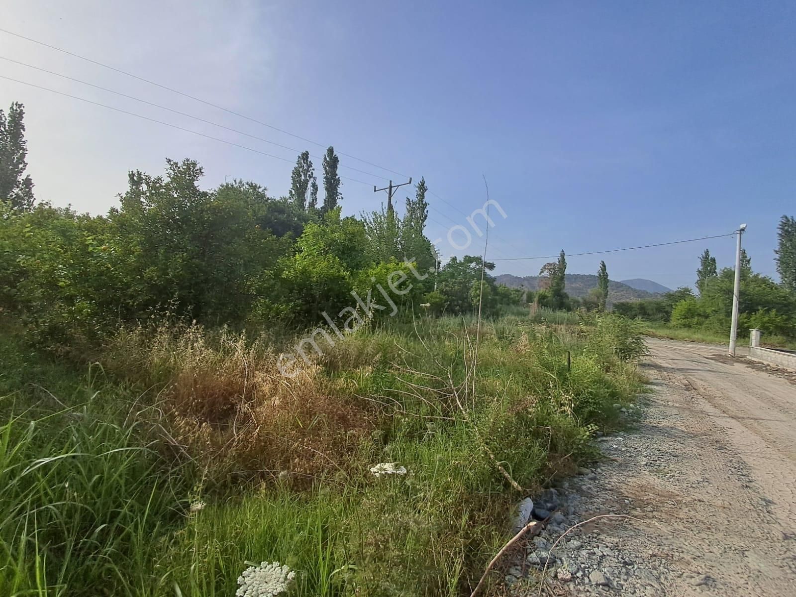 Satılık 4 Villa İmarlı 2300 M2 Arsa Muğla Ortaca - Görsel 28