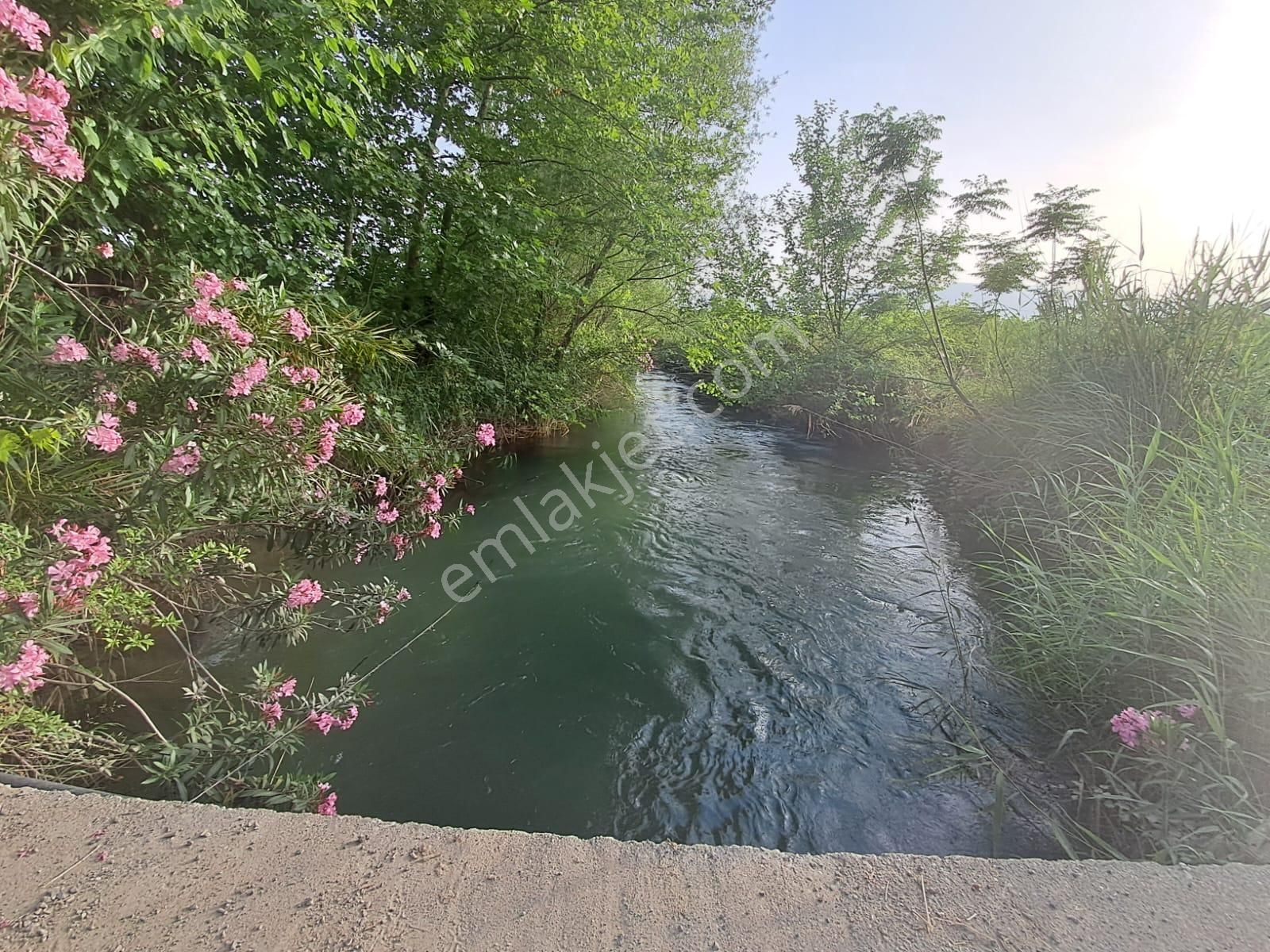 Satılık 4 Villa İmarlı 2300 M2 Arsa Muğla Ortaca - Görsel 18