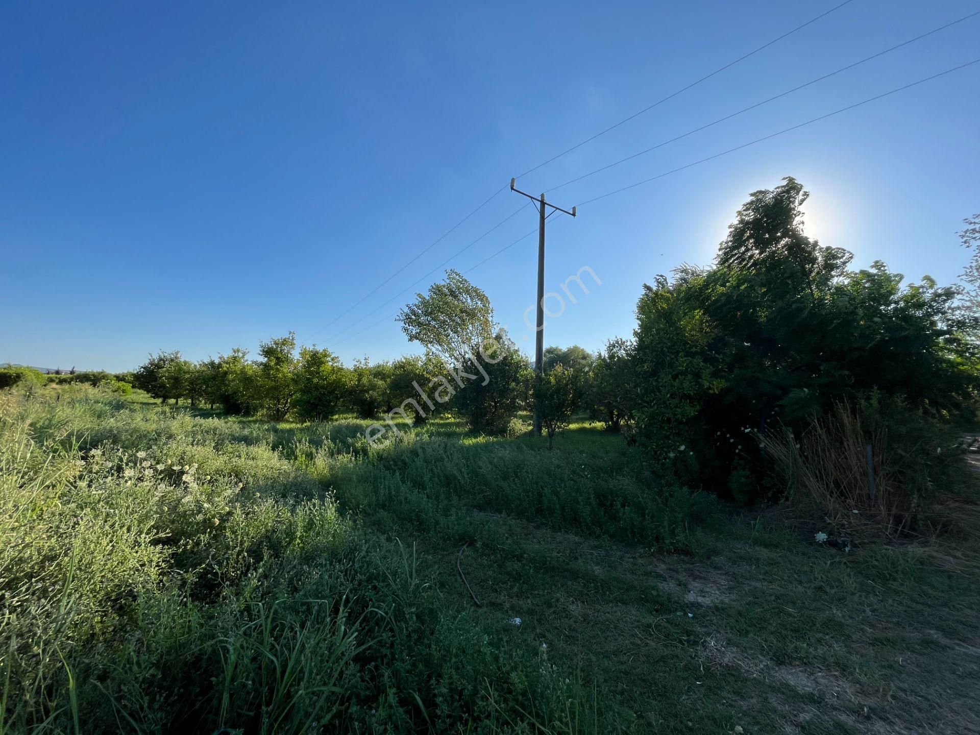 Satılık 4 Villa İmarlı 2300 M2 Arsa Muğla Ortaca - Görsel 13