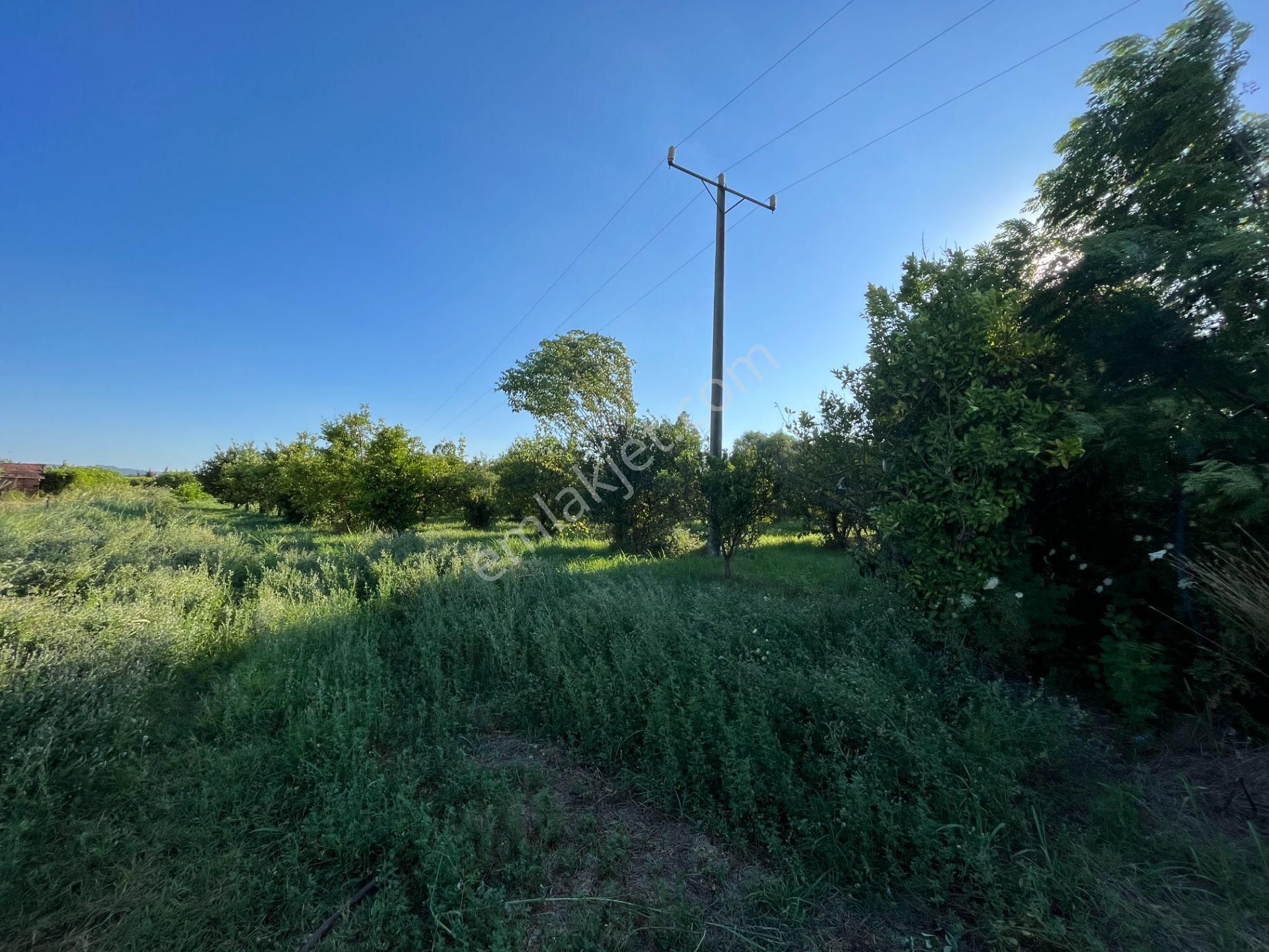 Satılık 4 Villa İmarlı 2300 M2 Arsa Muğla Ortaca - Görsel 8