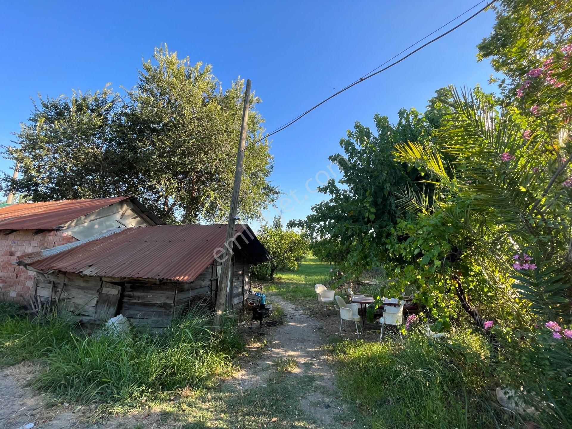 Satılık 4 Villa İmarlı 2300 M2 Arsa Muğla Ortaca - Görsel 16