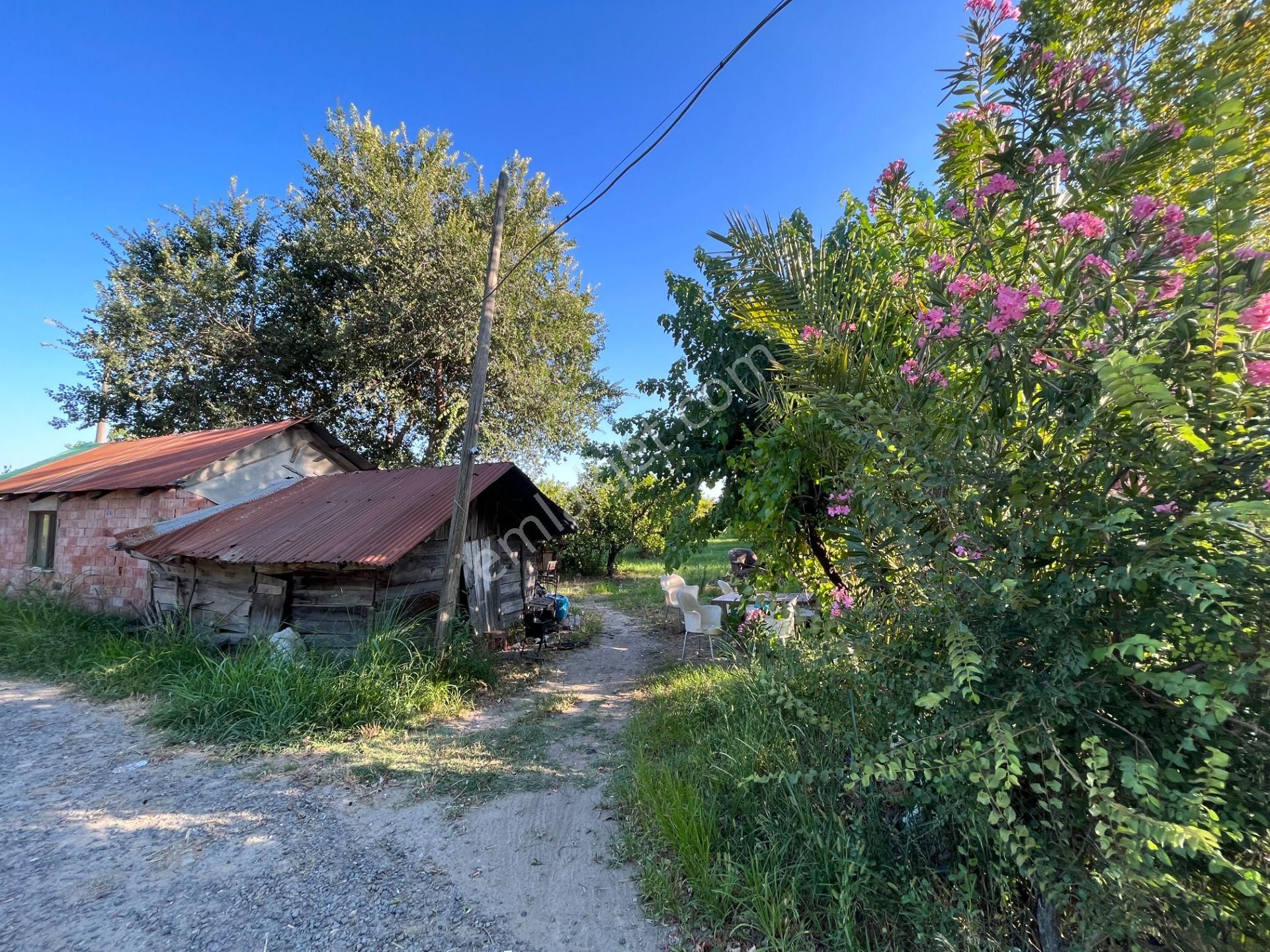 Satılık 4 Villa İmarlı 2300 M2 Arsa Muğla Ortaca - Görsel 3