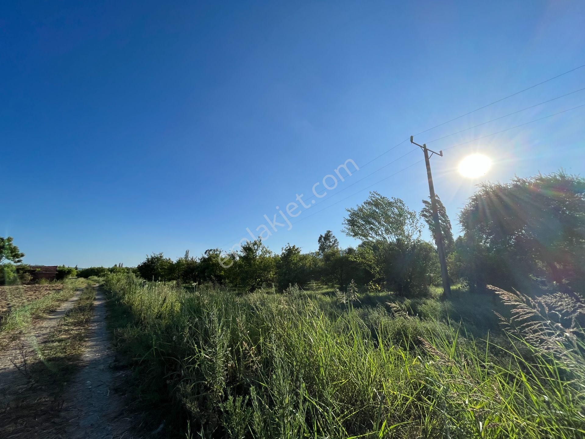 Satılık 4 Villa İmarlı 2300 M2 Arsa Muğla Ortaca - Görsel 9