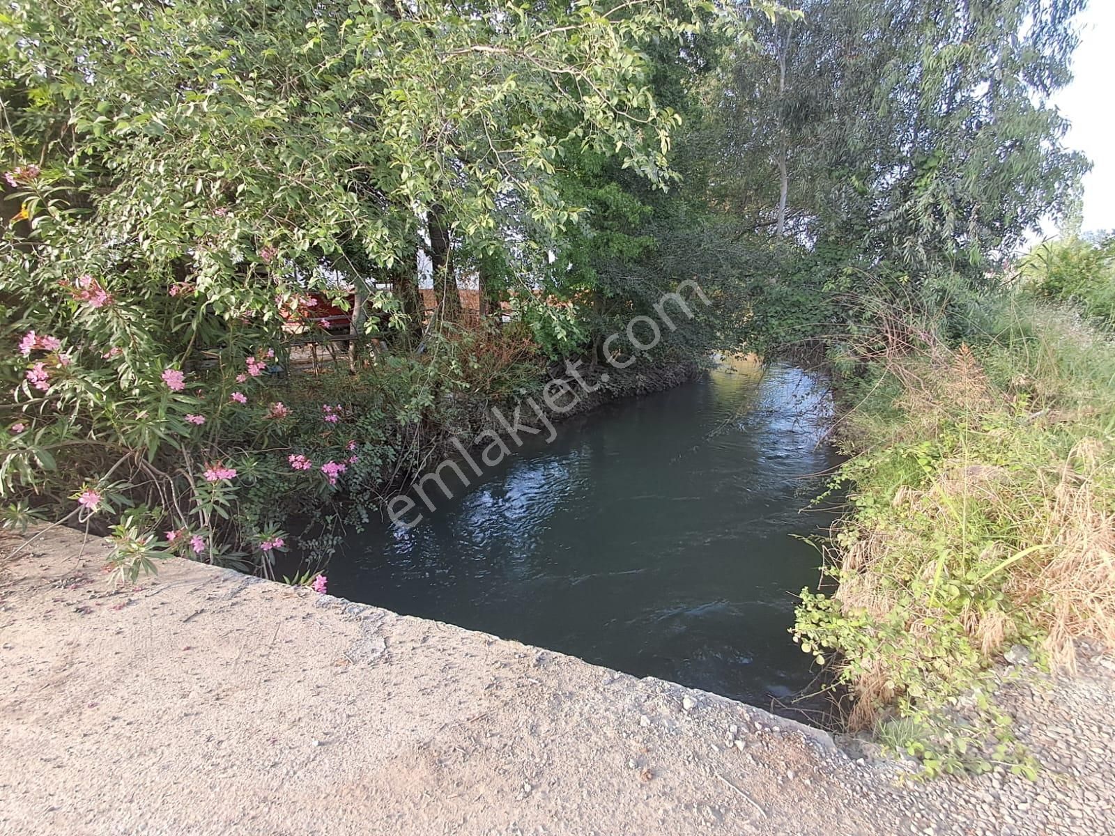 Satılık 4 Villa İmarlı 2300 M2 Arsa Muğla Ortaca - Görsel 19