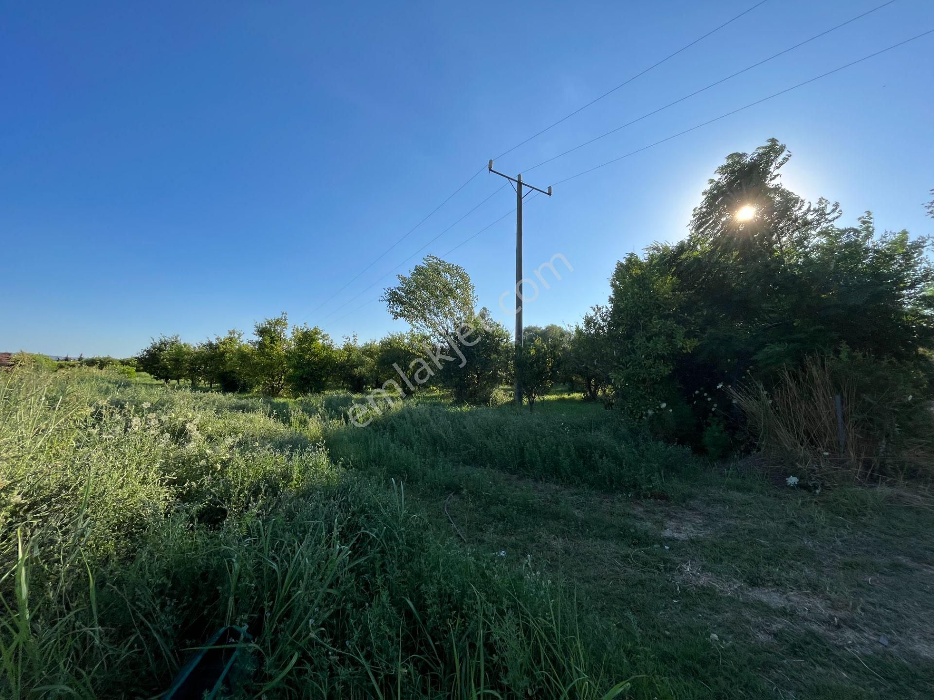 Satılık 4 Villa İmarlı 2300 M2 Arsa Muğla Ortaca - Görsel 12