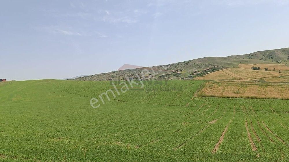 Çorum Merkez Sarmaşa Köyü Satılık Bağ & Bahçe  ESKİ OSMANCIK YOLU ÇİĞDEM TEPE YANI TAKSİTLİ SATILIK BAHÇELER