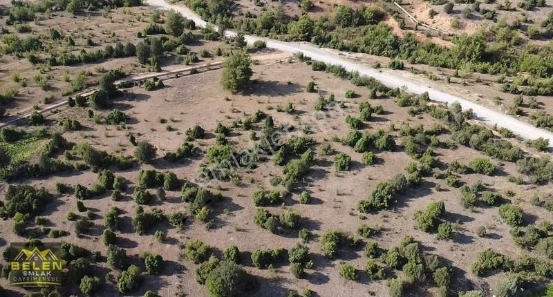 Söğüt Tuzaklı Köyü Satılık Tarla Resmi Yolu Suyu Olan Arazimiz