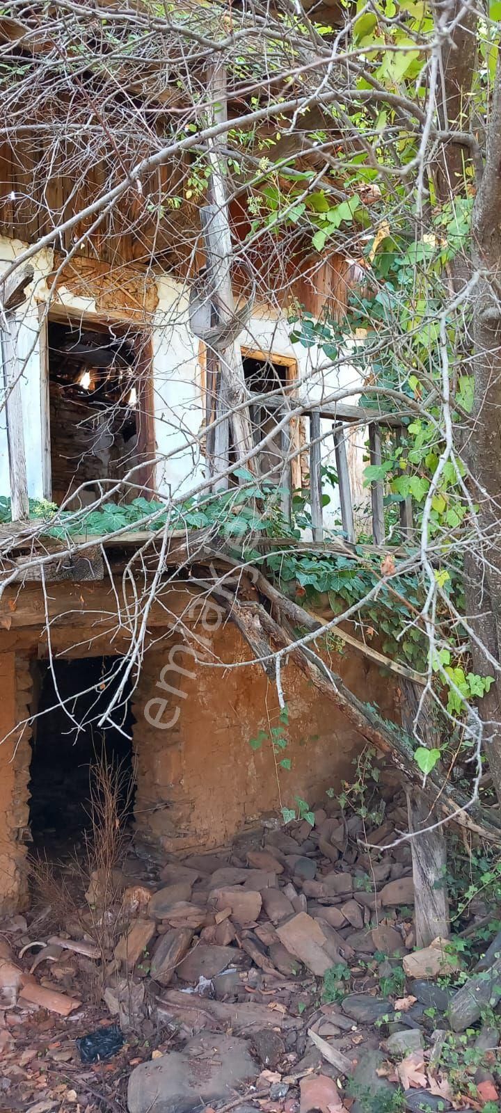 Karacasu Nargedik Satılık Zeytinlik  KAHVEDERESİNDE zeytinlik ve kargir ev içi de 28 adet zeytin 15 adet badem ağacı mevcut