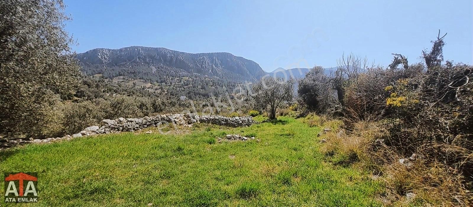 Seydikemer Arsaköy Satılık Tarla S.KEMER ARSA MAH 547 m2 BAĞ EVİ VE HOBİ BAHÇESİ İÇİN UYGUN ARAZİ