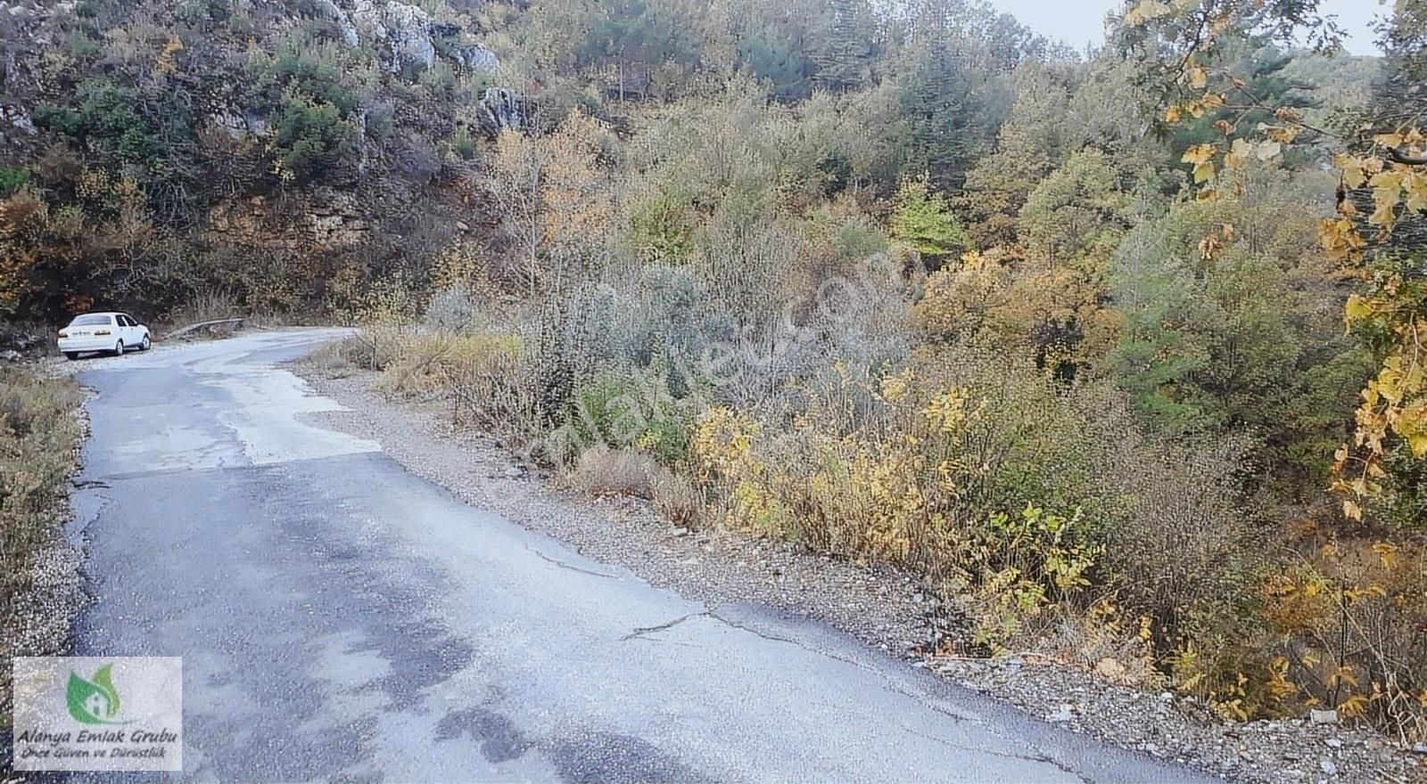 Alanya Dere Satılık Tarla DERE MH.ÇONLU MEV.TÜRKTAŞ YOLU CEPHE TARLA 932 m2,yol,su,elk var