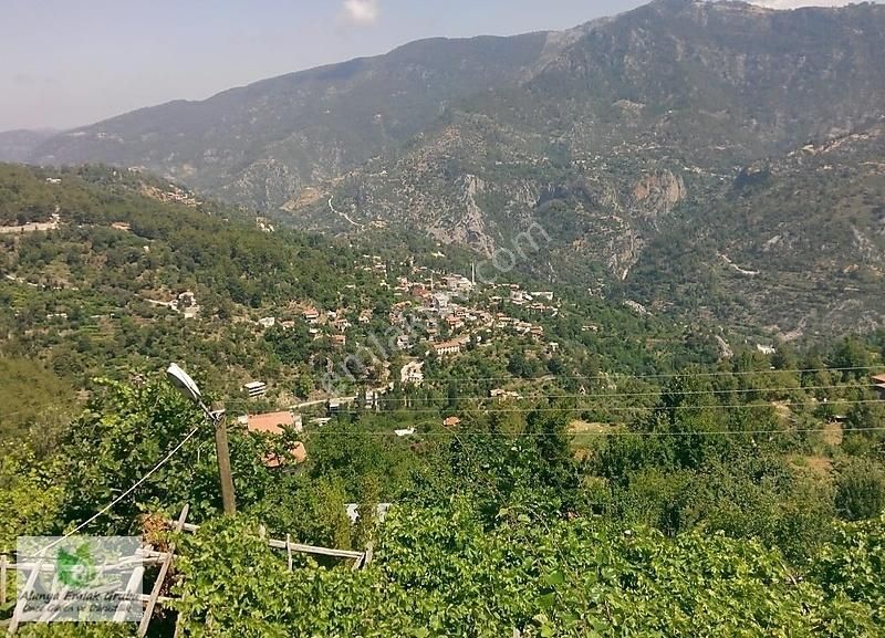 Dere Mh.çonlu Mev.türktaş Yolu Cephe Tarla 932 M2,yol,su,elk Var - Görsel 2