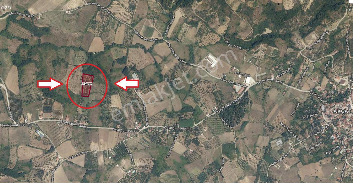 Kocaeli Karamürsel Akçat Satılık 6399 M2 Meyve Bahçesi - Görsel 14