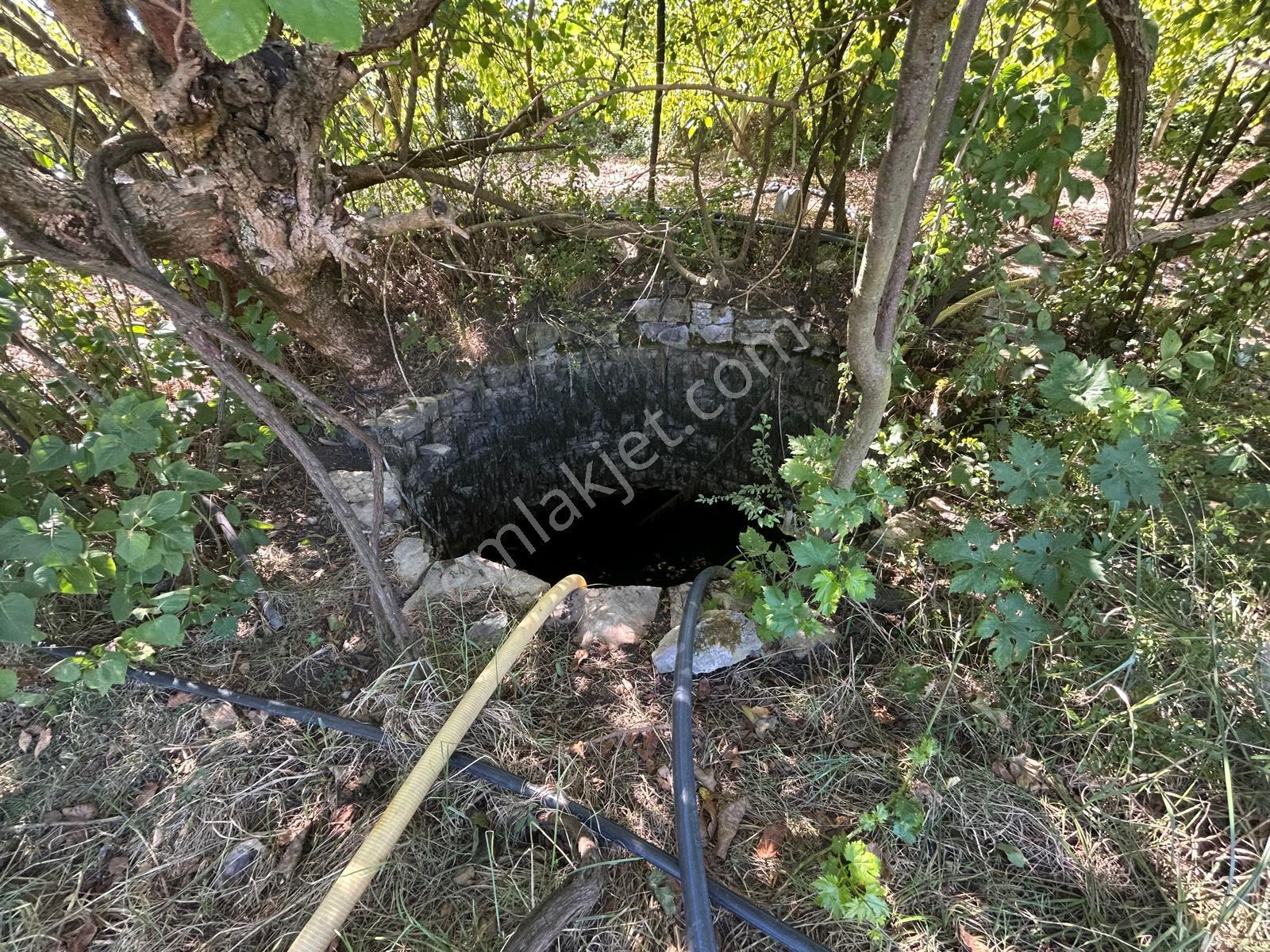 Kocaeli Karamürsel Akçat Satılık 6399 M2 Meyve Bahçesi - Görsel 9
