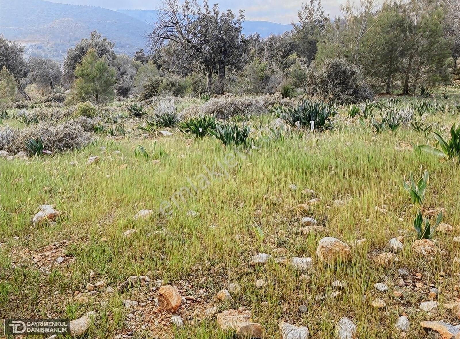 Gülnar Büyükeceli Satılık Konut İmarlı MERSİN BÜYÜKECELİ SATILIK İMARLI 500 M2 ARSA