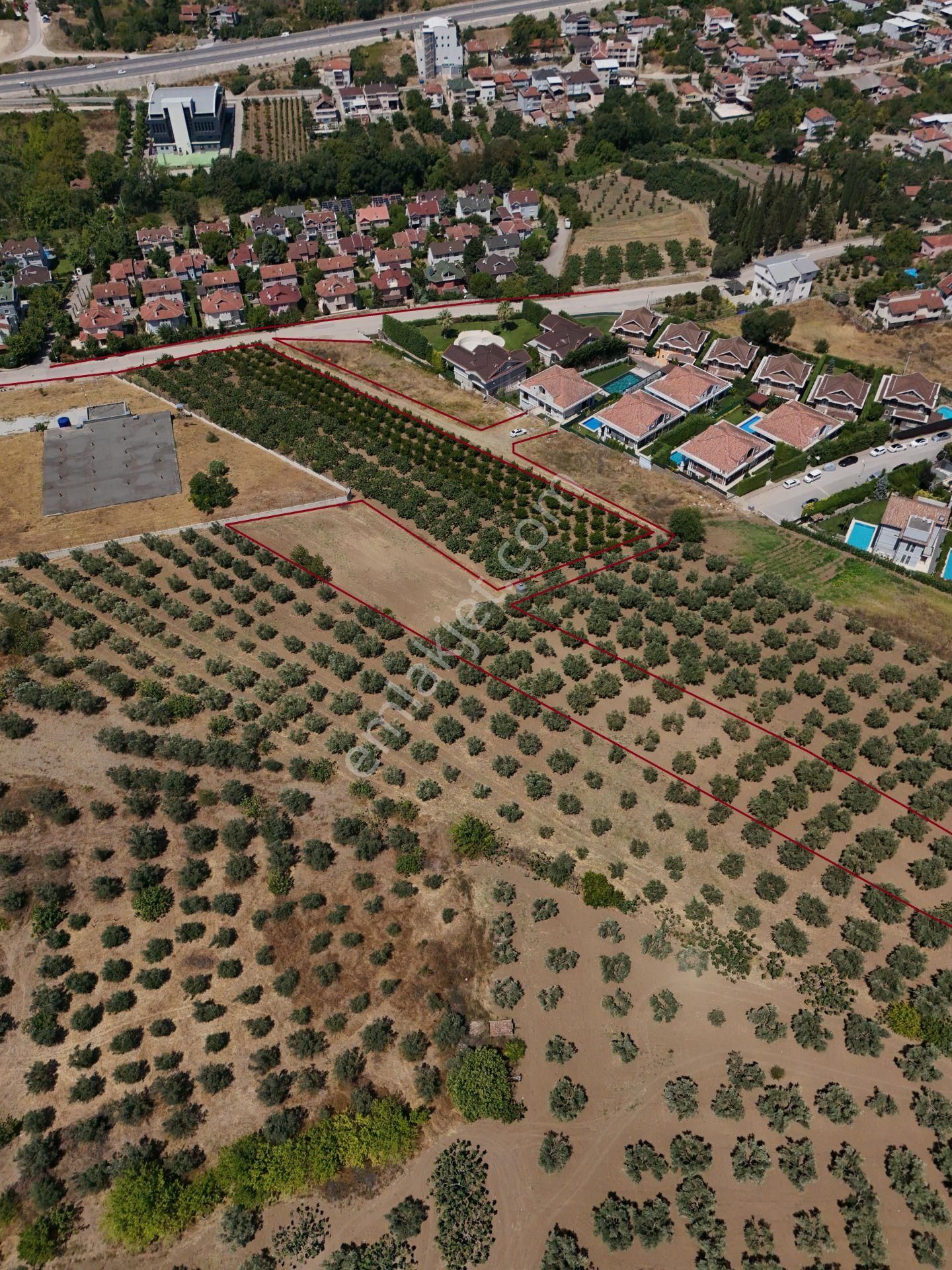 Mudanya Çağrışan Satılık Tarla Kurtuluş'tan Çağrışan Mh'de Satılık İmara 60 Metre 2659m2 Tarla