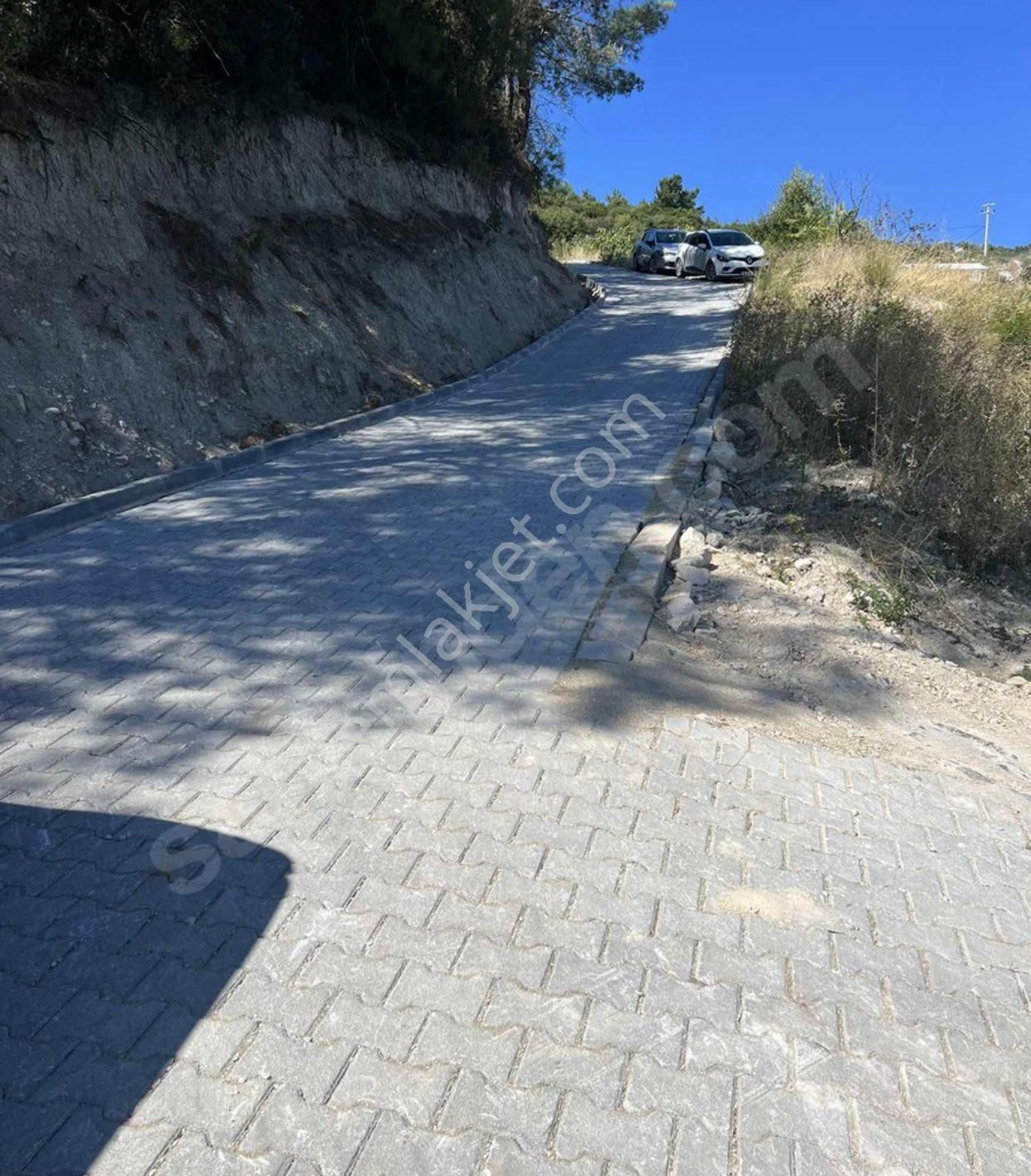 Mudanya Çepni Satılık Zeytinlik MUDANYA ÇEPNİ DE RESMİ YOLU ve DENİZ MANZARALI ZEYTİNLİK