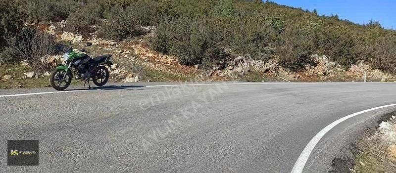 Bucak Taşyayla Köyü (Afetler) Satılık Tarla BUCAK'TA YOLU OLAN ASFALT YOLA 150 m MESAFEDE 6566 m2 TARLA