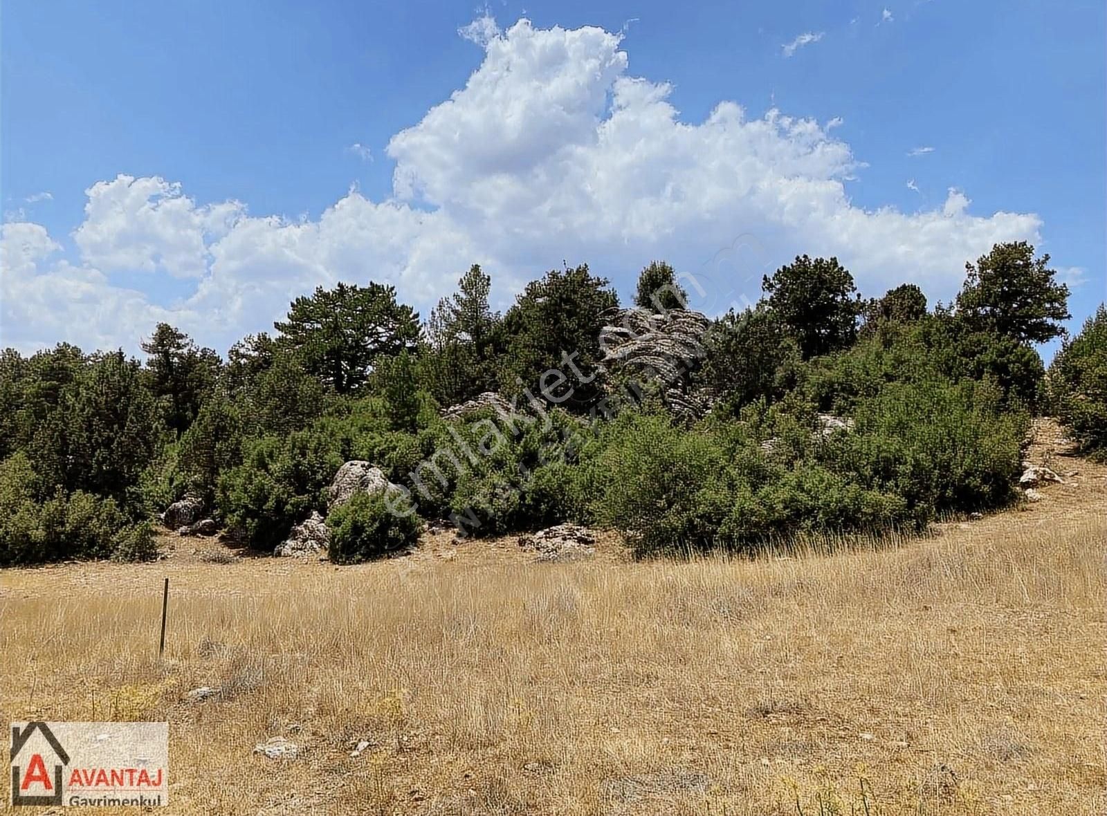 Seydikemer Dont Satılık Tarla Yayla Dont Mahallesinde 2-B Arazi