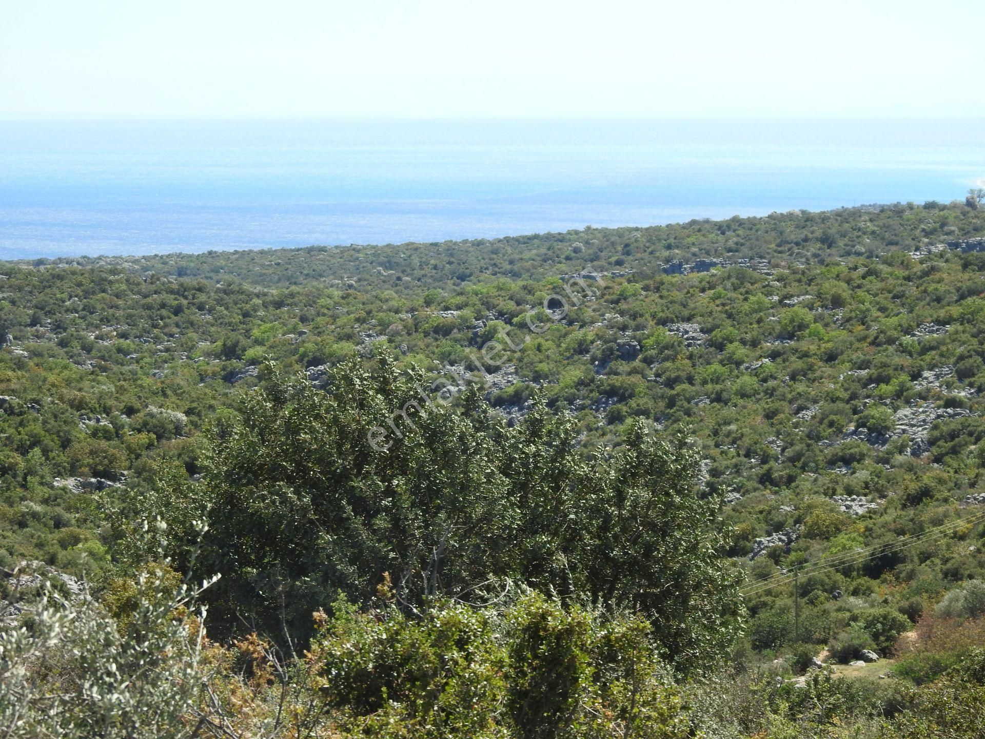 Silifke Hüseyinler Satılık Tarla   HÜSEYİNLER DE YOL KENARI DENİZ MANZARALI SATILIK 3080 M2 TARLA!!!