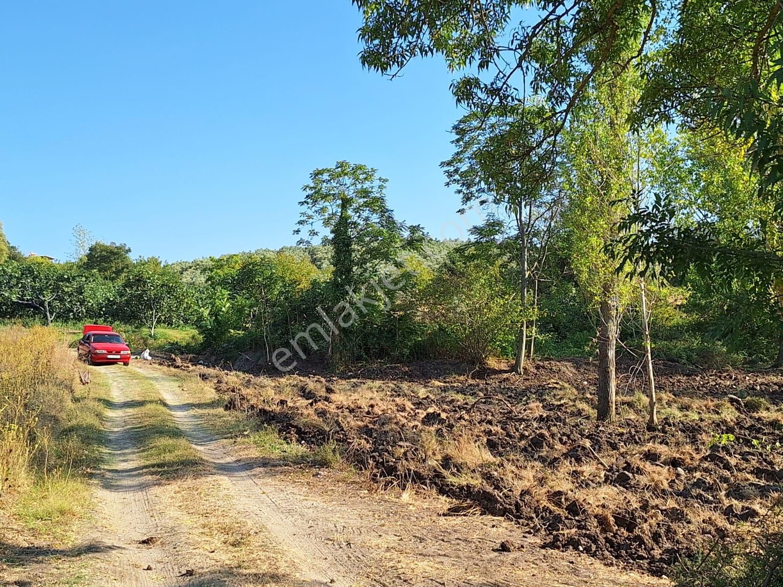 Mudanya Yaman Satılık Tarla Bursa Mudanya Yamanda Yerleşime Yakın 500m2 Arazimiz Satıştadır