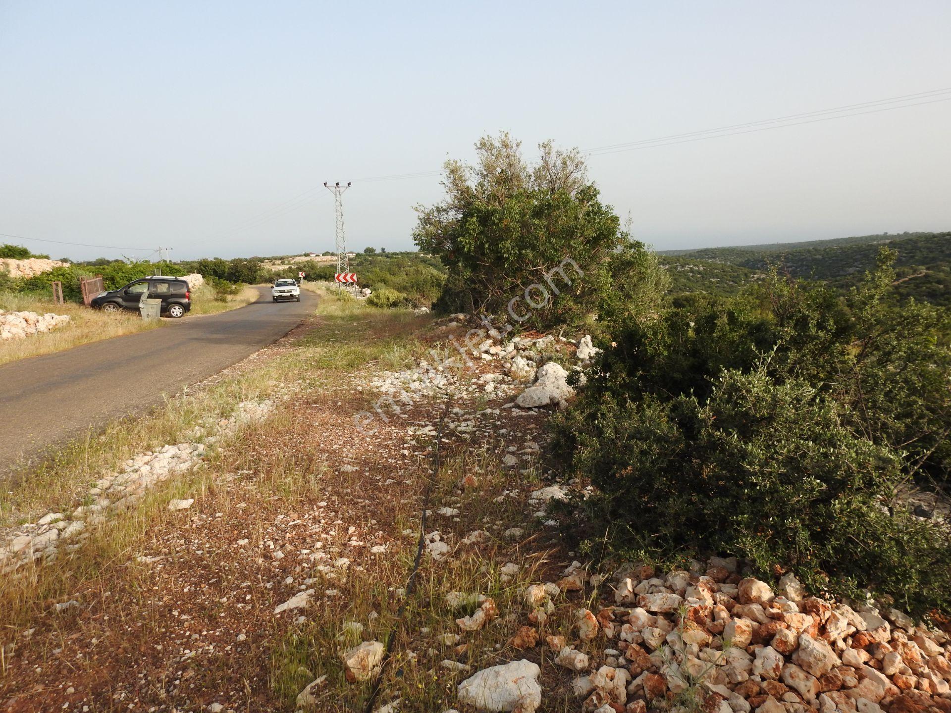 Hüseyinler De Yol Kenarı Deniz Manzaralı Satılık 3730 M2 Tarla!!! - Görsel 7