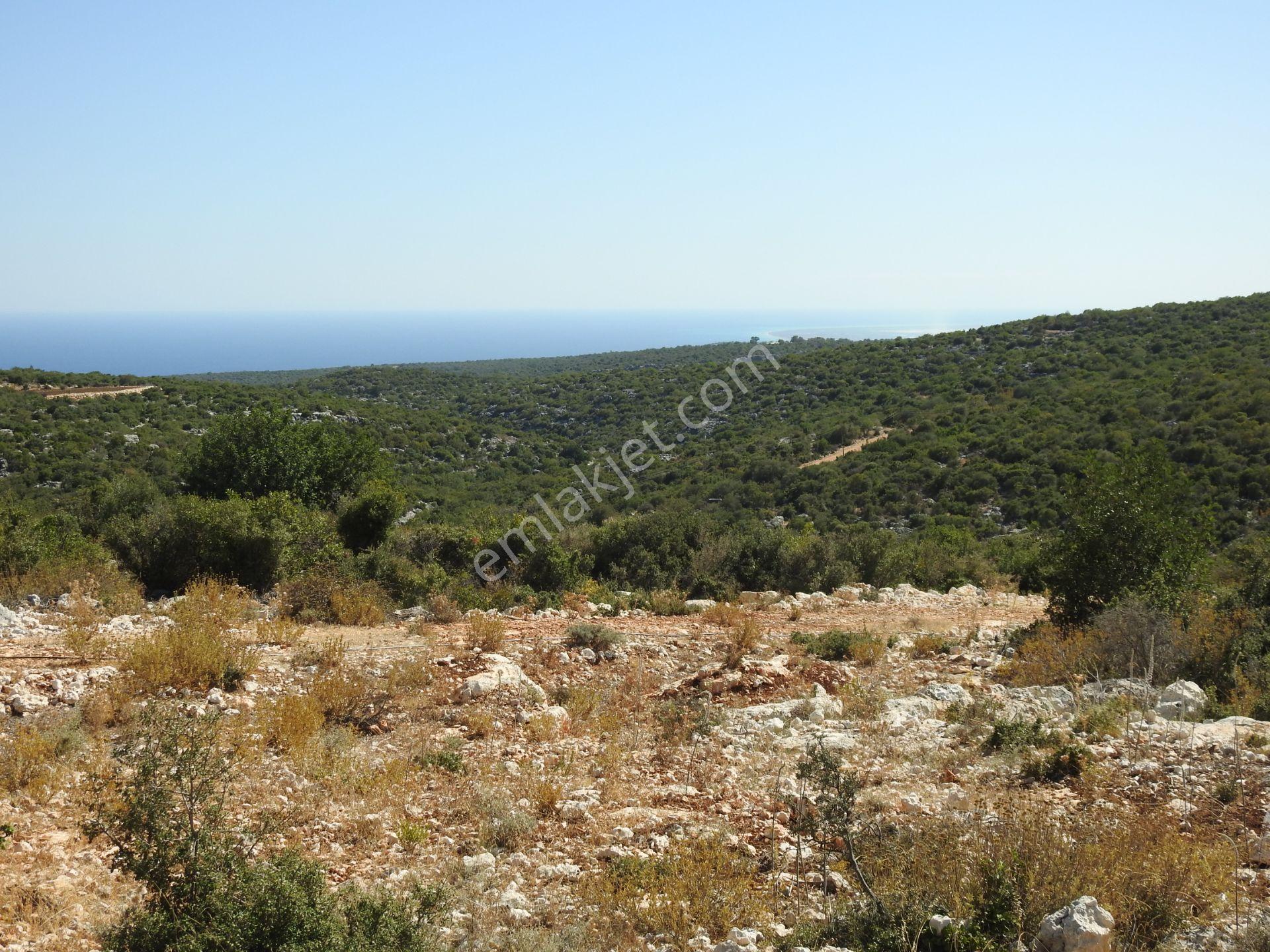 Hüseyinler De Yol Kenarı Deniz Manzaralı Satılık 3730 M2 Tarla!!! - Görsel 25