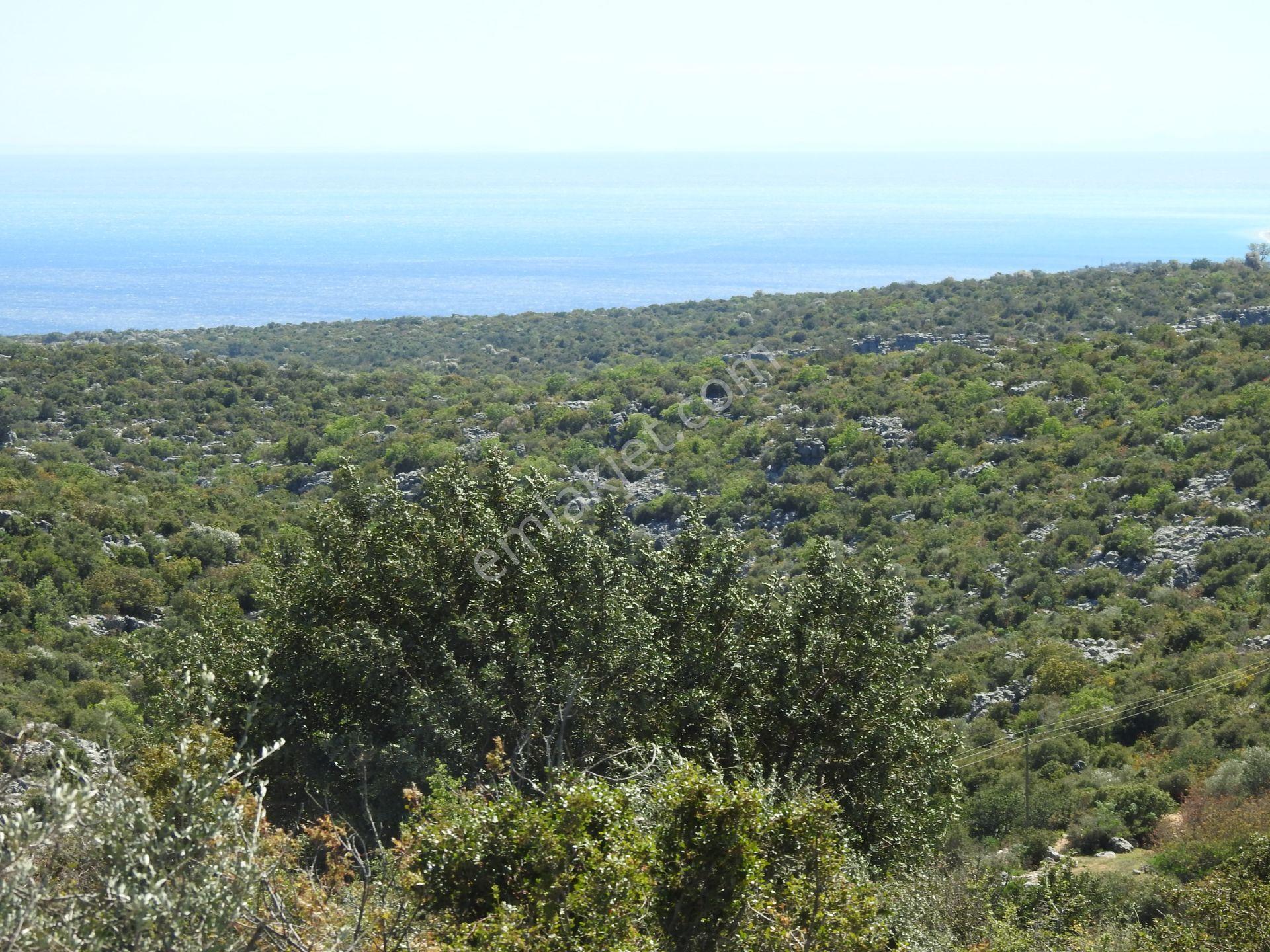 Hüseyinler De Yol Kenarı Deniz Manzaralı Satılık 3730 M2 Tarla!!! - Görsel 4