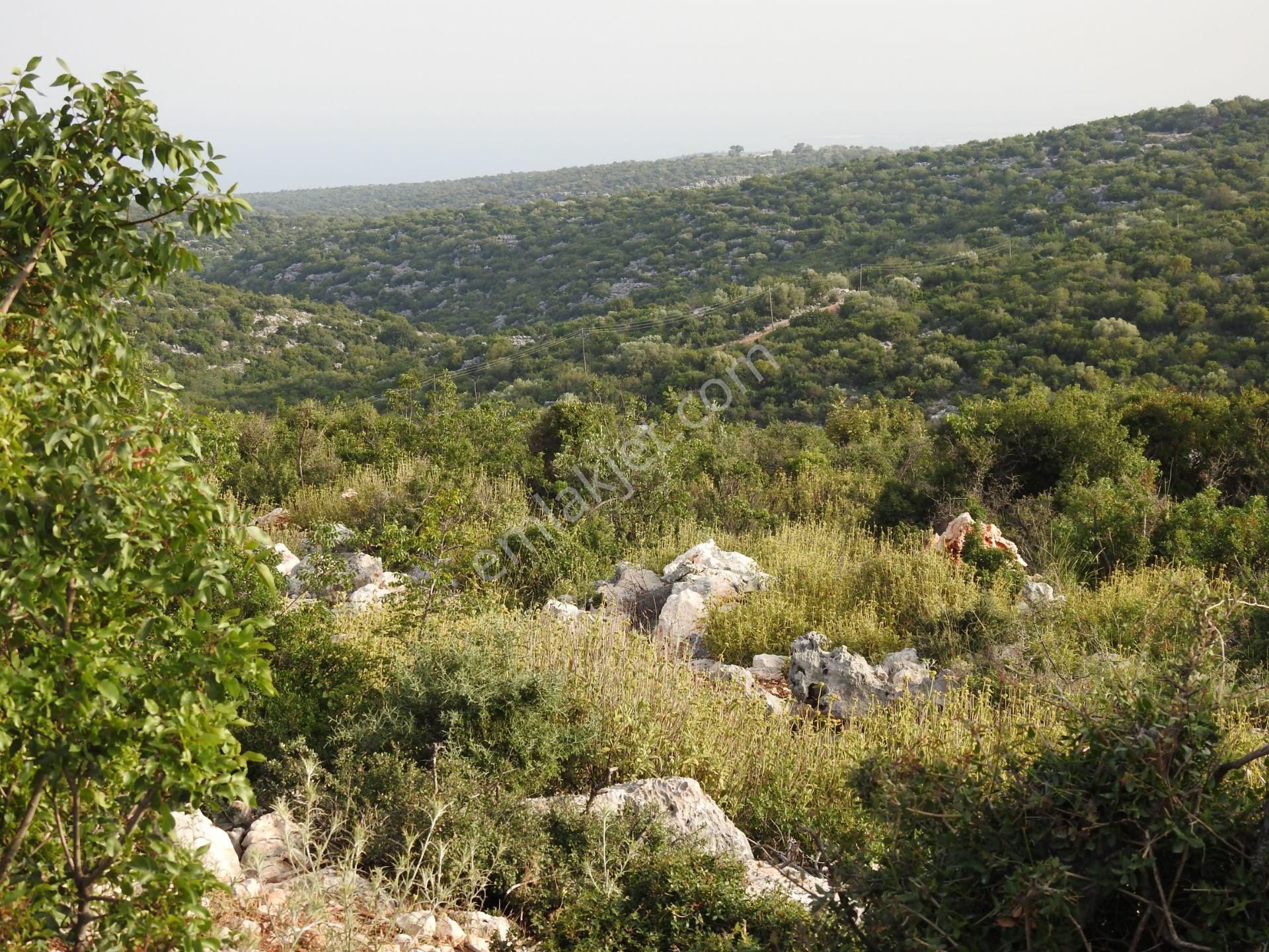 Hüseyinler De Yol Kenarı Deniz Manzaralı Satılık 3730 M2 Tarla!!! - Görsel 22