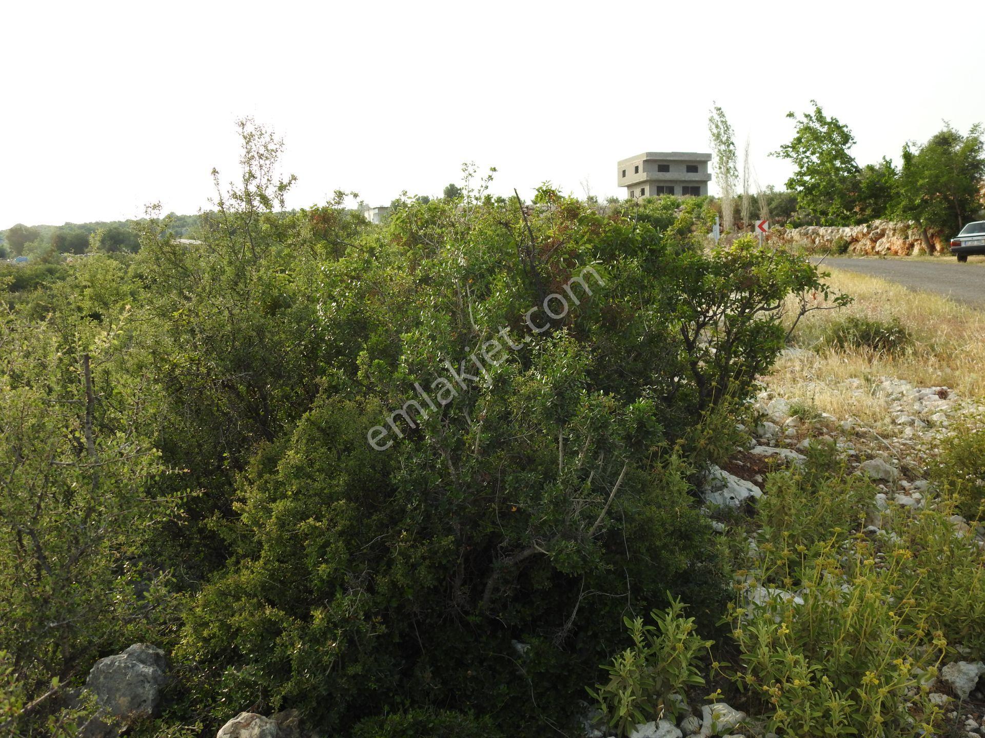 Hüseyinler De Yol Kenarı Deniz Manzaralı Satılık 3730 M2 Tarla!!! - Görsel 10