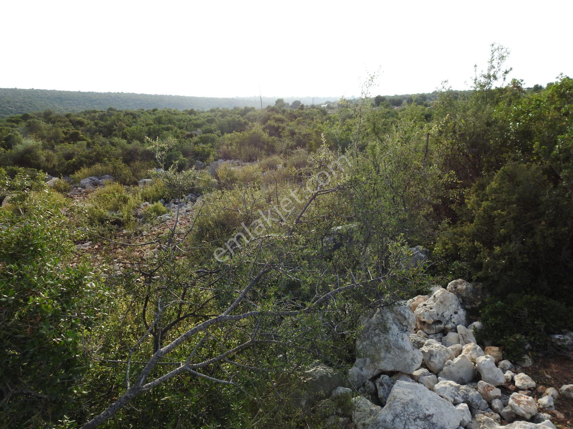 Hüseyinler De Yol Kenarı Deniz Manzaralı Satılık 3730 M2 Tarla!!! - Görsel 9