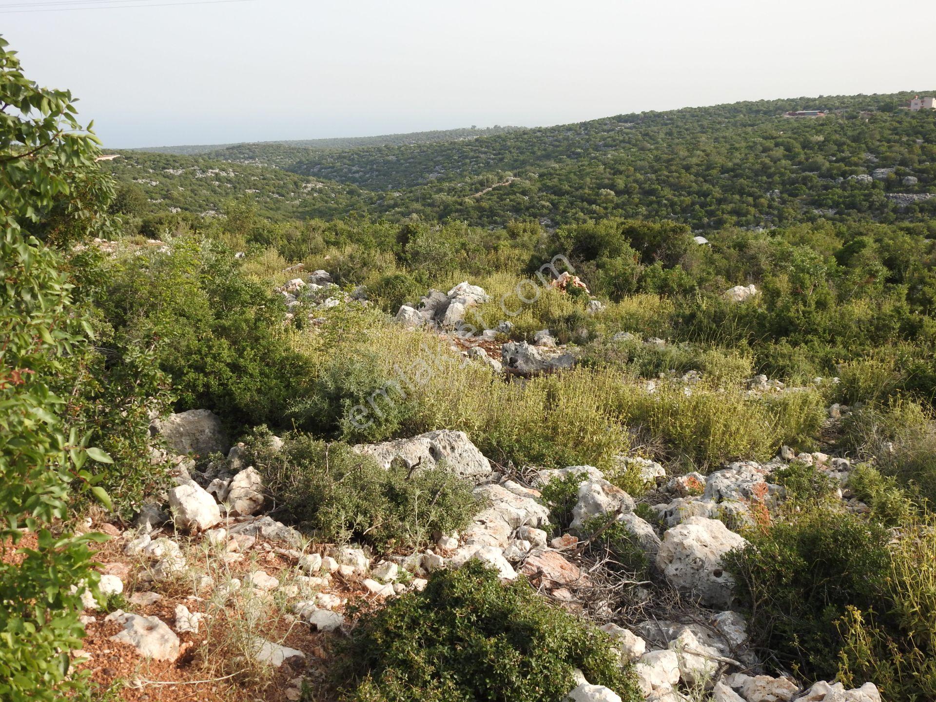 Hüseyinler De Yol Kenarı Deniz Manzaralı Satılık 3730 M2 Tarla!!! - Görsel 14