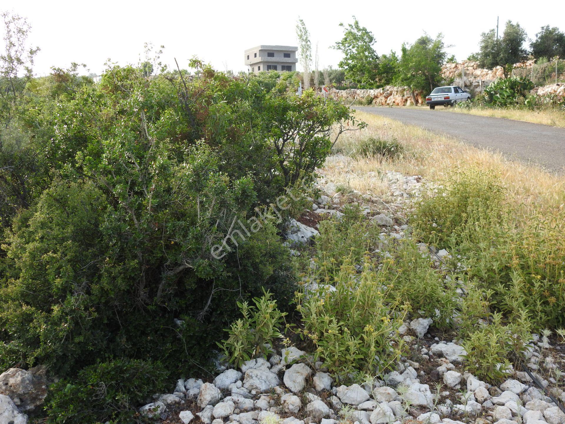 Hüseyinler De Yol Kenarı Deniz Manzaralı Satılık 3730 M2 Tarla!!! - Görsel 11