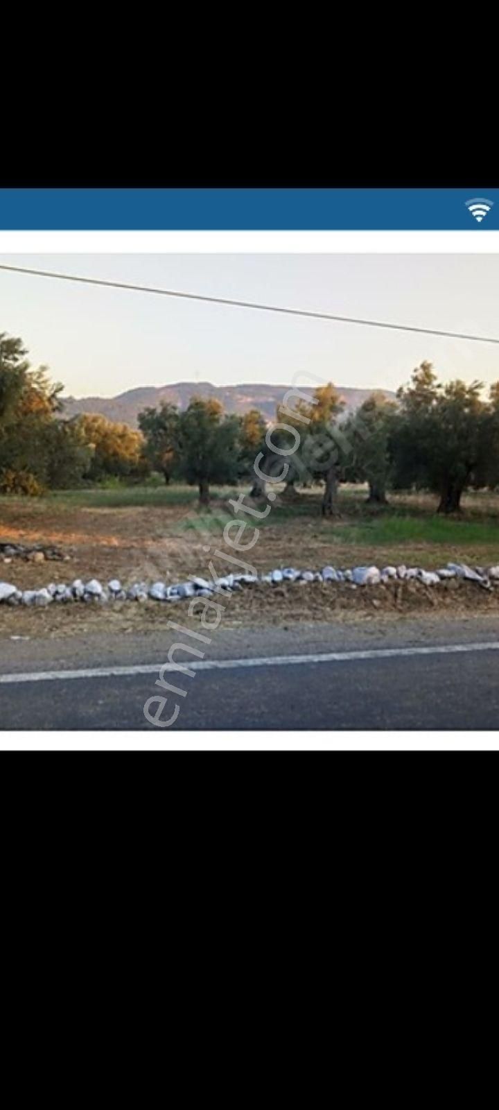 Havran Hamambaşı Satılık Tarla SAHİBİNDEN TAKAS OLUR 