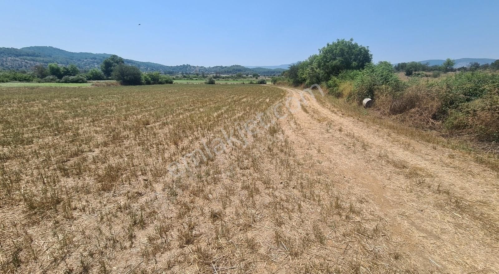 Ula Kızılyaka Satılık Tarla MUĞLA KIZILYAKADA SATILIK YATIRIMLIK TARLA