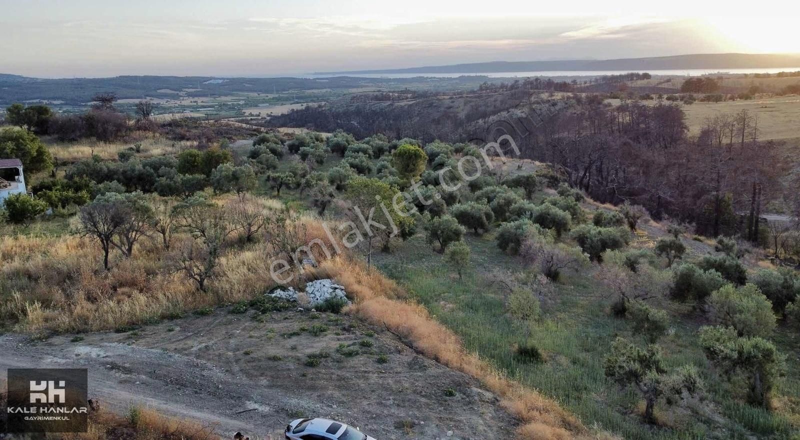 Çanakkale Merkez Yağcılar Köyü Satılık Zeytinlik KALE HANLAR'DAN MERKEZ/YAĞCILAR'DA M.TAPU MANZARALI HOBİ BAHÇESİ